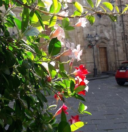Bed and Breakfast Nenet Guglionesi Esterno foto