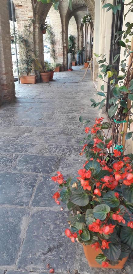 Bed and Breakfast Nenet Guglionesi Esterno foto