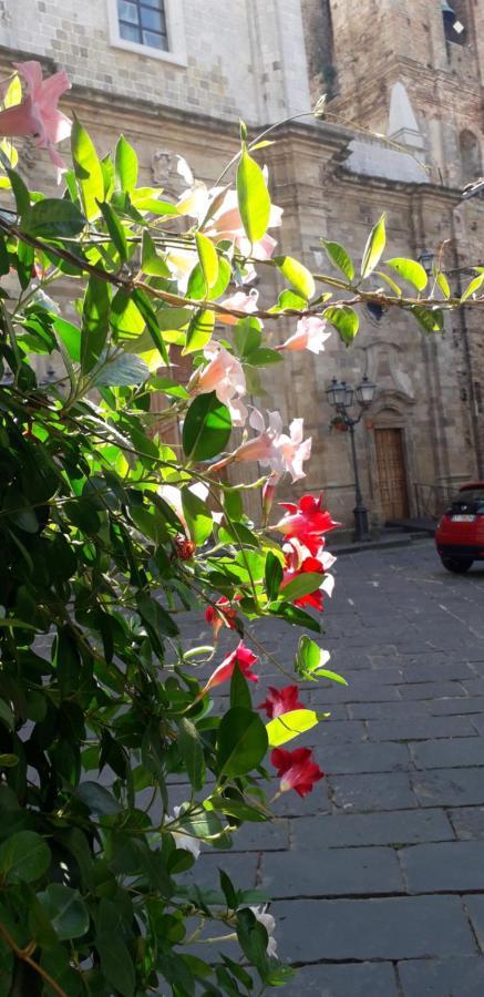 Bed and Breakfast Nenet Guglionesi Esterno foto